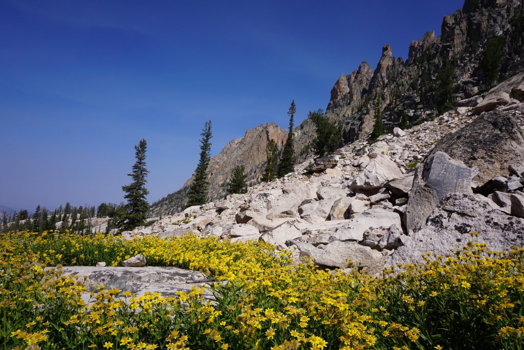 Feather Lakes Meadow