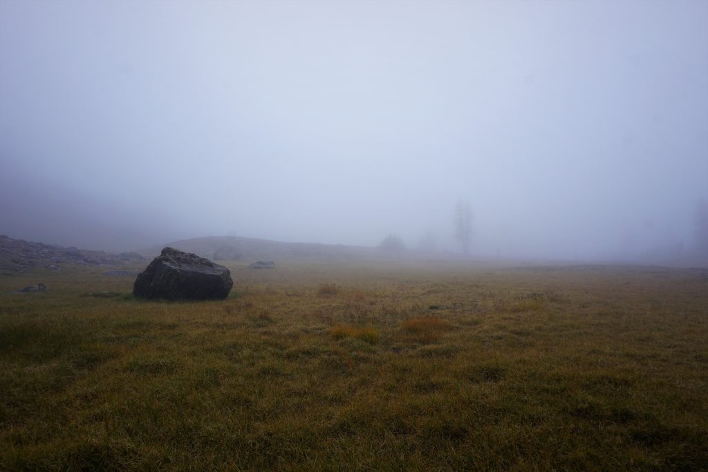 Chiwaukum Foggy Meadow
