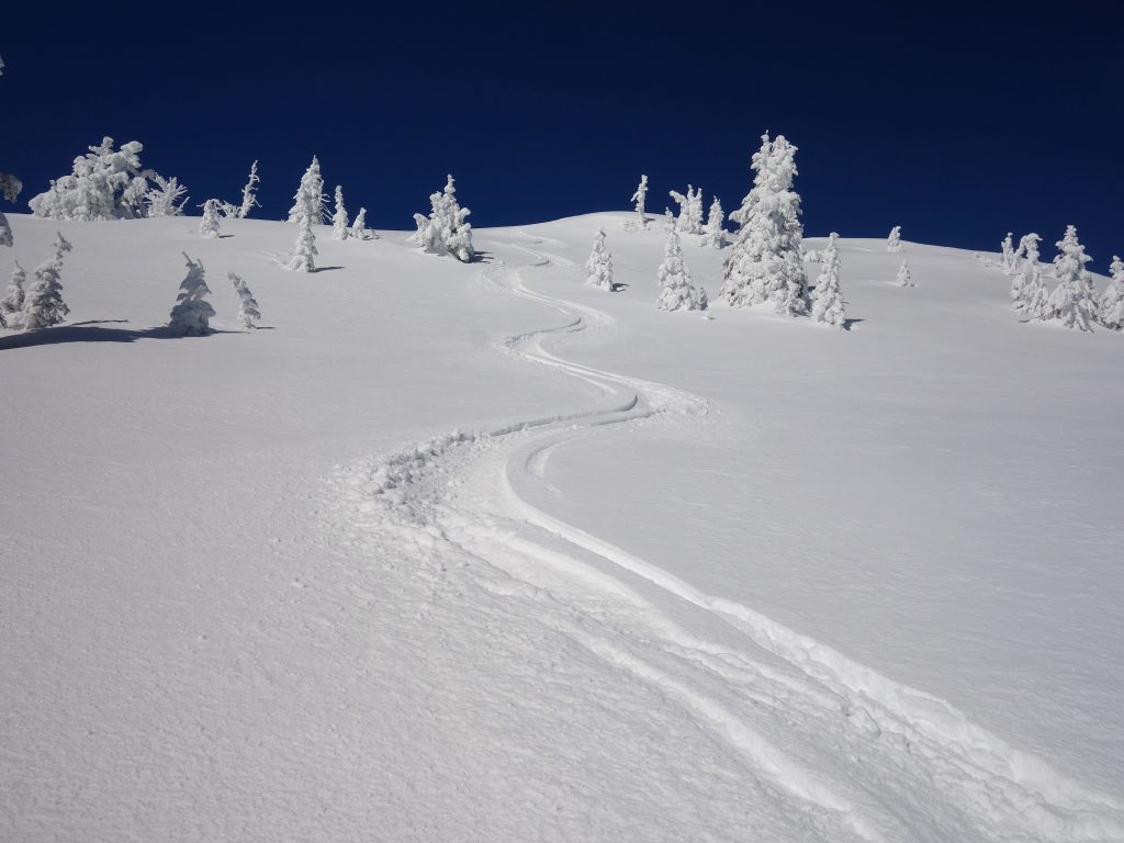 Snow Peak Tracks