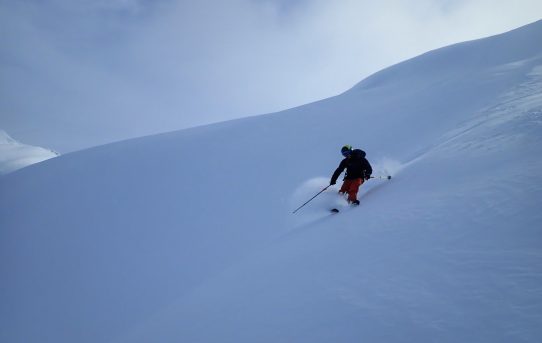 Mt Ann Ski Tour
