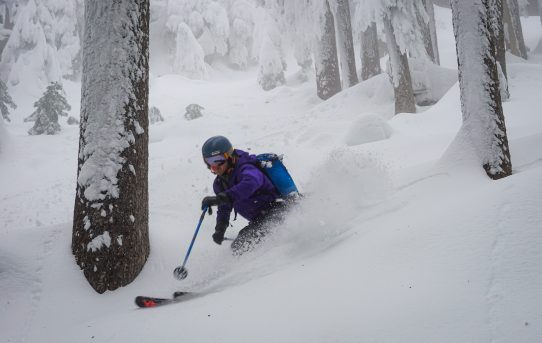 How to Find Good Tree Skiing