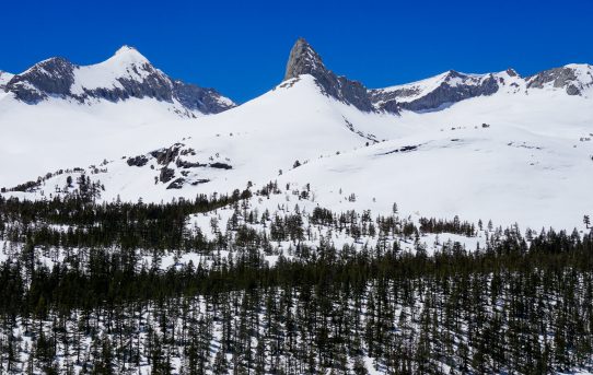 Palisades to Taboose Ski Traverse